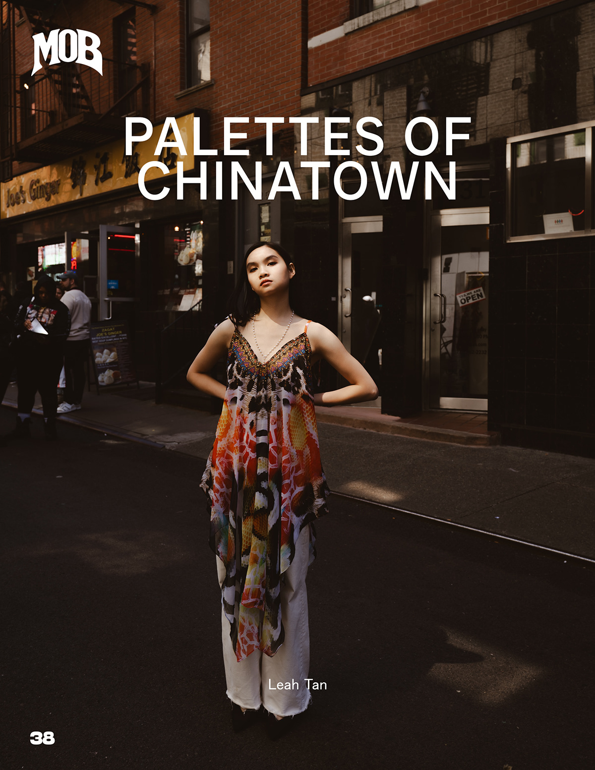 Palettes of Chinatown